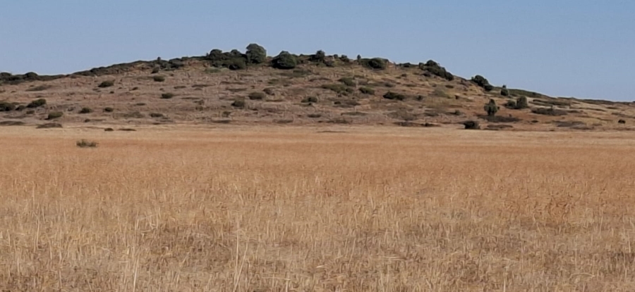  Bedroom Property for Sale in Bloemfontein Rural Free State